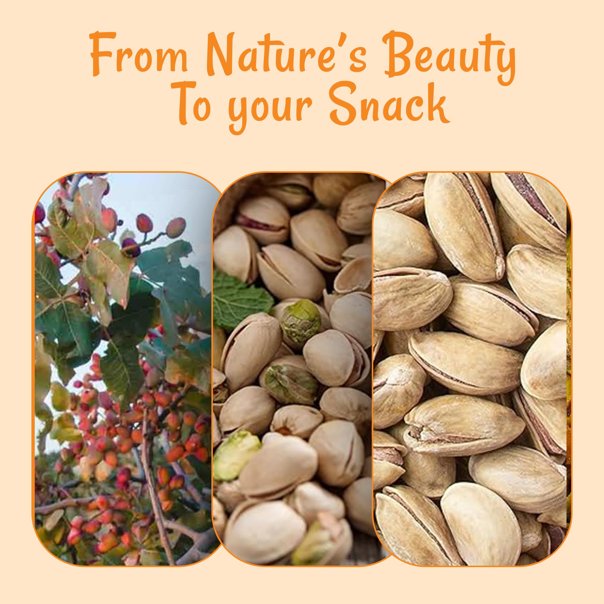 Oh! Nuts Pistachios Iranian Style - Roasted Lightly Salted - 1 lb - Shelled Whole Nuts - Packed in New York Zip-Seal Bag for Exceptional Freshness - Image 6